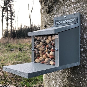 May include: A grey bird feeder with a clear plastic window filled with a variety of birdseed, including peanuts, sunflower seeds, and other mixed seeds. The feeder is mounted on a tree trunk.