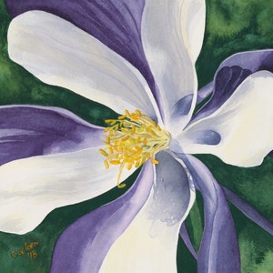 Columbine III, Giclee Print from my Original Watercolor Painting