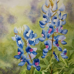 Texas Bluebonnets, Giclee Print from my Original Watercolor Painting