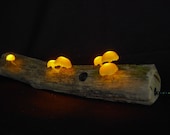 Articolo da questo negozio