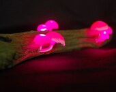 Articolo da questo negozio