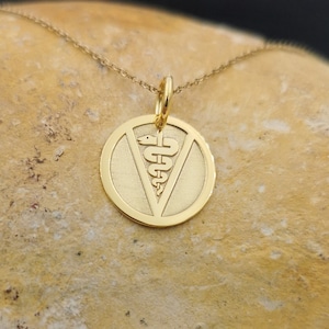Dainty 14k Solid Gold Veterinarian Symbol Necklace, Personalized Veterinarian Symbol Pendant, Id Animal Pendant