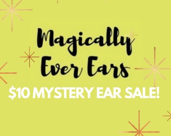 10.00 Everyday Mystery Mouse Ears Sale