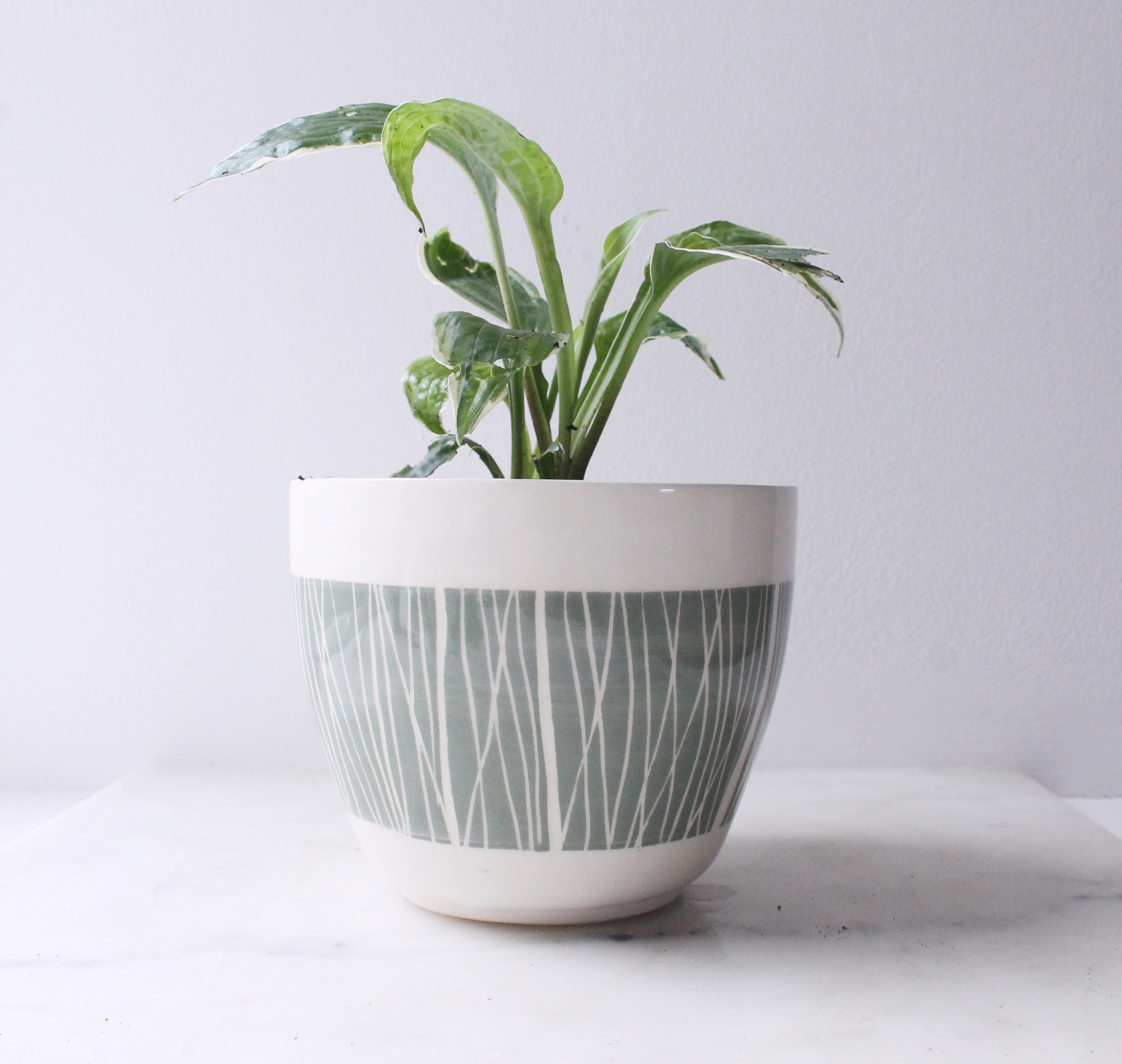 Indoor Plant Pot