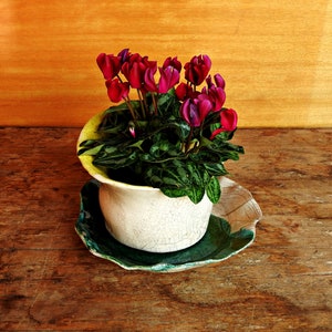 Raku pottery handmade flowerpot dish green and white ceramic planter dish ceramic saucer ceramics and pottery image 7