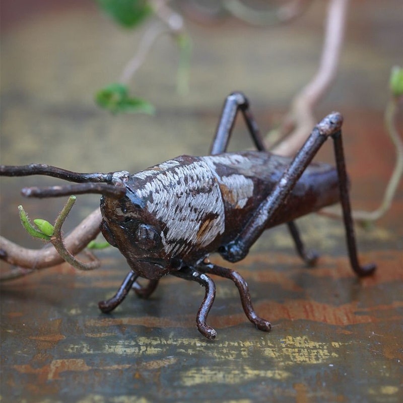 Hand Made Metal Insect Insect Sculpture - Etsy UK