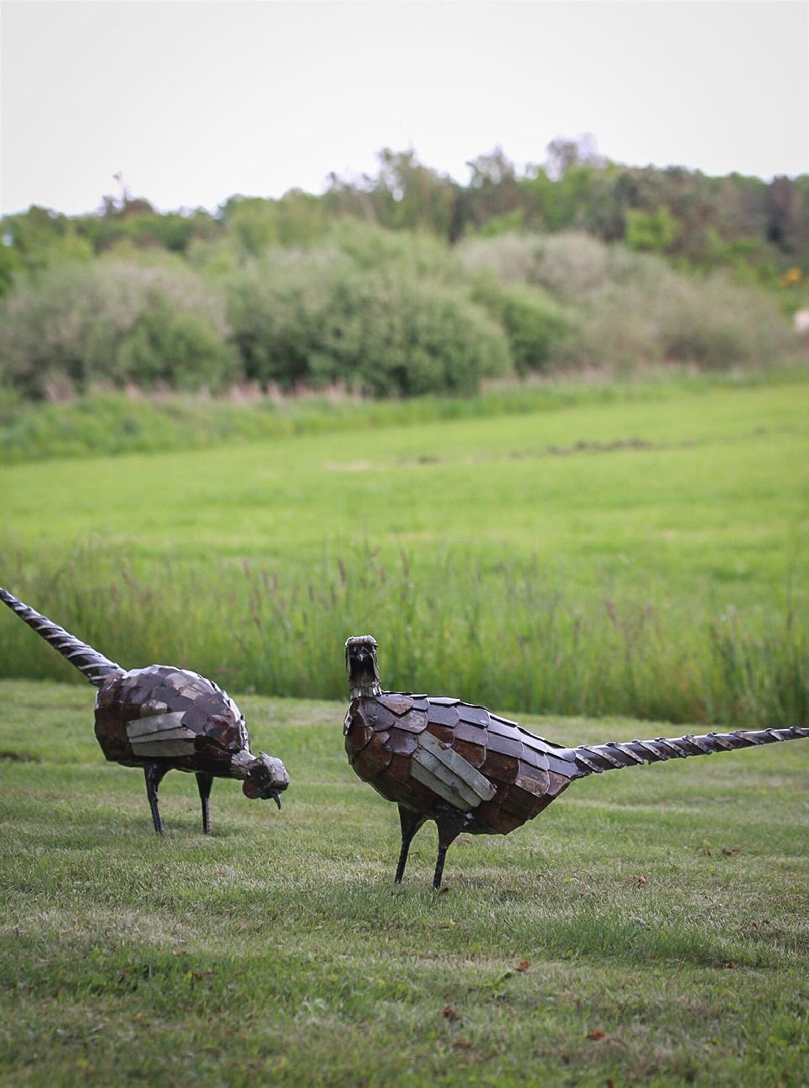Metal Pheasant Garden Ornament Sculpture Art Handmade Etsy