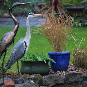 Metal Heron Garden Ornament Sculpture Art Handmade Recycled Metal Bird image 10