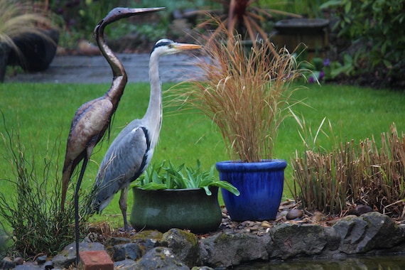 Pali Decorativi Da Giardino In Metallo – Statue Di Airone 16x30 Cm, Facili Da Installare, Per Aiuole, Cortili E Vialetti