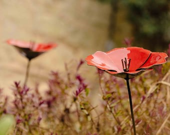 May include: Two red metal poppy flowers with black stems stand in a field of green and purple foliage.