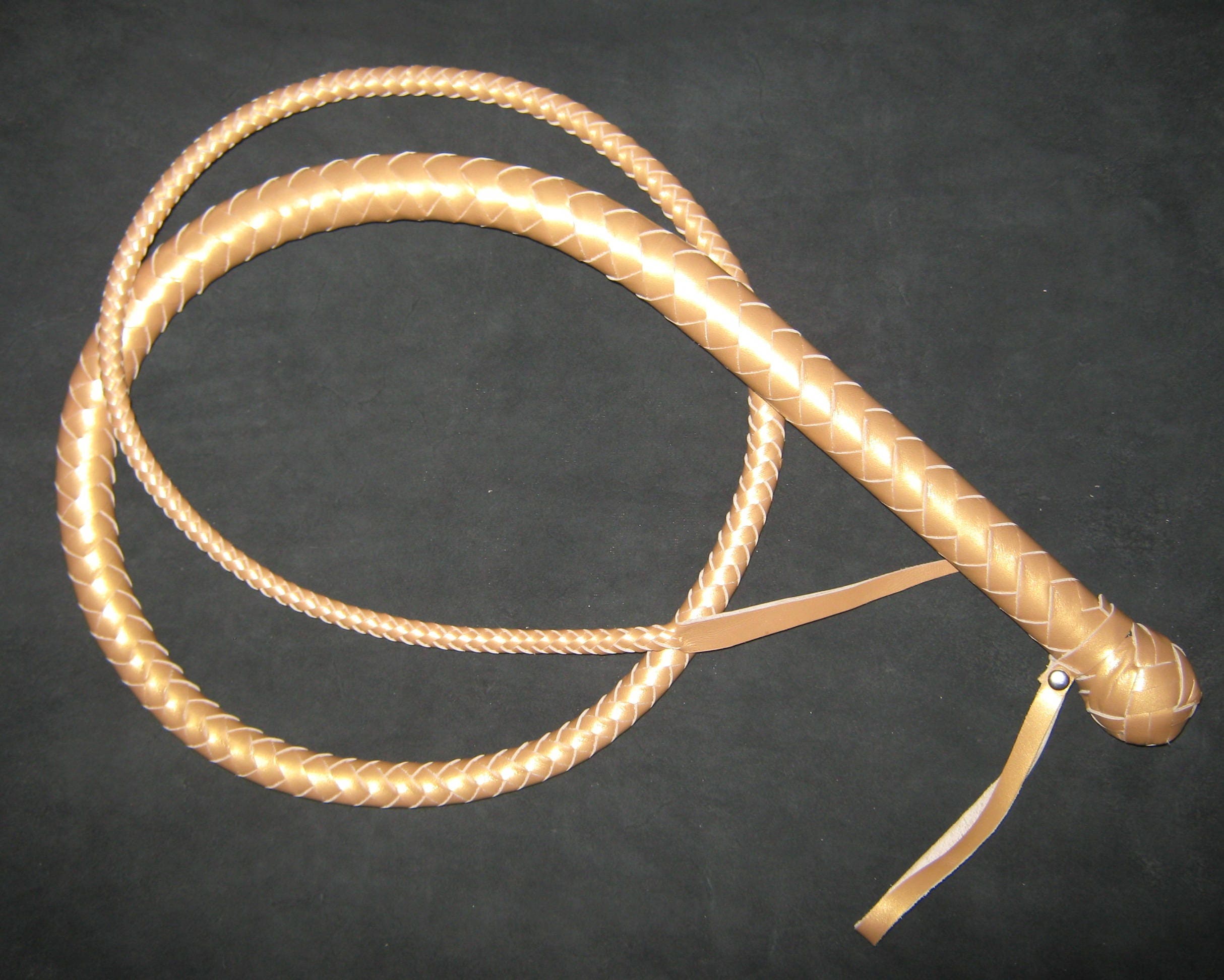 Fouet En Cuir De Kangourou 16 Tresses – Poignée Bouclée – Pour équitation Et Spectacle – Rouge Et Noir