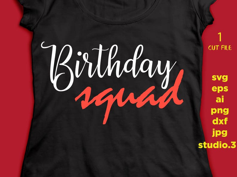 Birthday squad svg birthday svg file birthday design for | Etsy