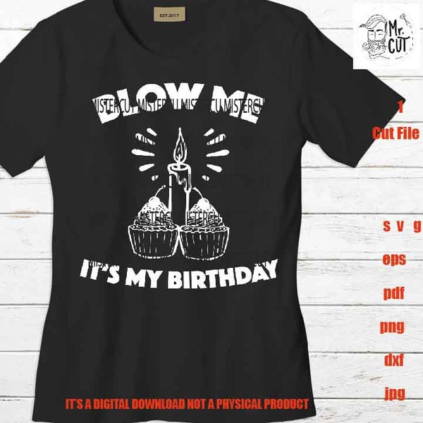 birthday vector design, Blow me its my birthday shirt vector design EpS, dxf jpg, png high resolution, pdf, cut files, thirteen teen