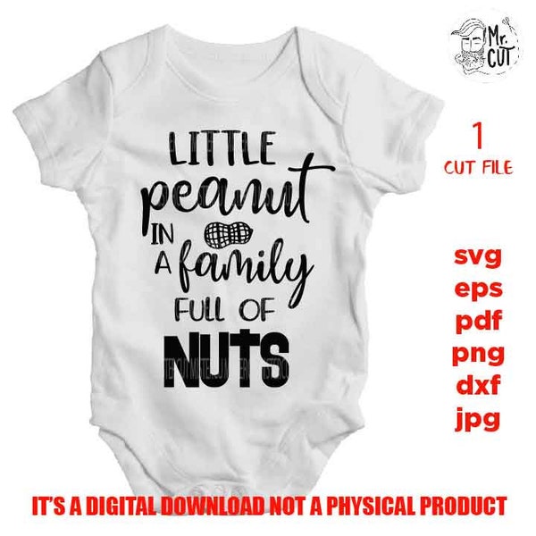 Little peanut in a family full of nuts SVG, DXF, jpg, EpS, cut file, Baby shirt design, Newborn SVG, bodysuit vector design, baby shower
