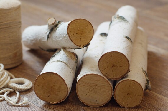 5 Wood Stick Birch Branches Birch Logs Birch Sticks White Etsy