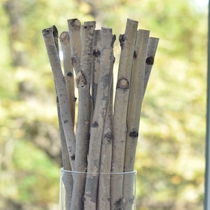 22 wood stick, birch branches, Birch Logs, birch sticks, White Birch branches, decorative birch wood, birch logs, craft wood, eco wood