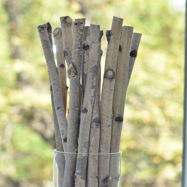 17 wood stick, birch branches, Birch Logs, birch sticks, White Birch branches, decorative birch wood, birch logs, craft wood, eco wood