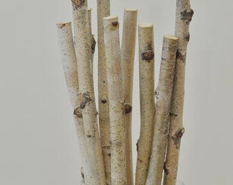 7 wood stick, birch branches, Birch Logs, birch sticks, White Birch branches, decorative birch wood, birch logs, craft wood, eco wood