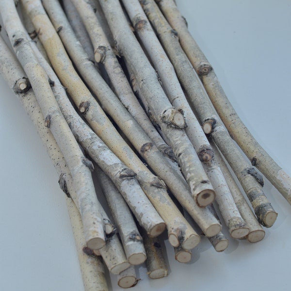 White Birch Logs Etsy