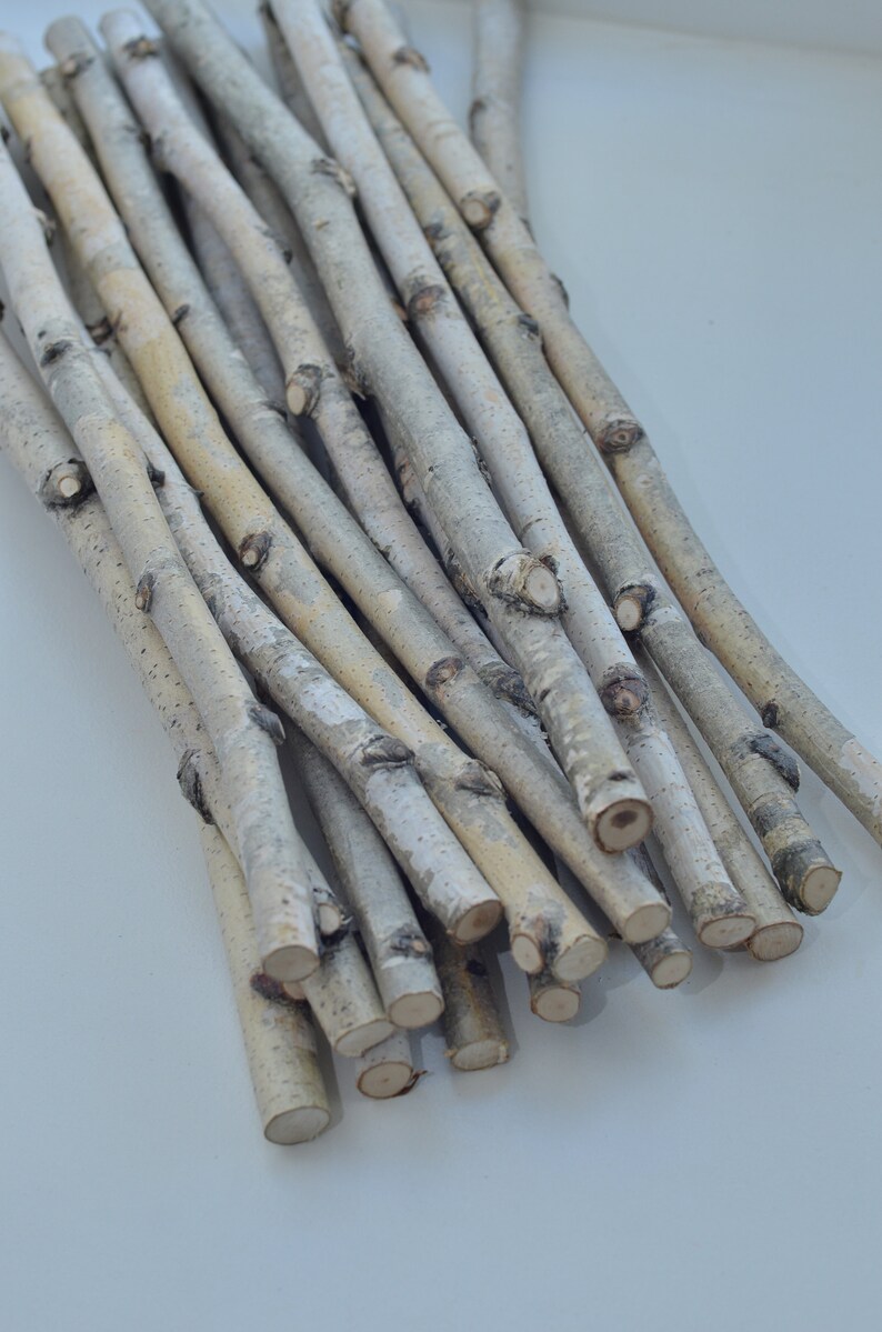 11 Wood Stick Birch Branches Birch Logs Birch Sticks White Etsy