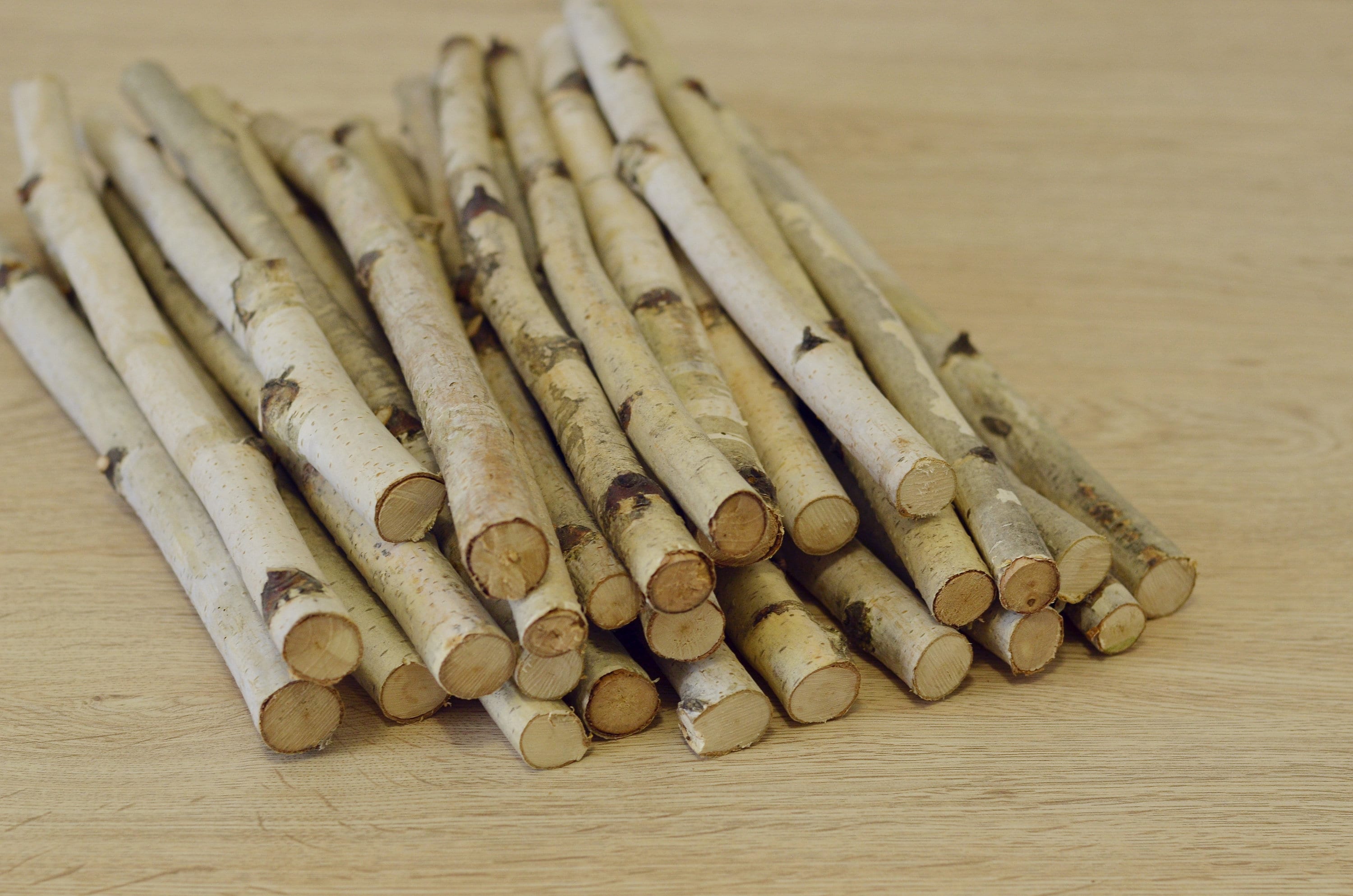 7 Wood Stick Birch Branches Birch Logs Birch Sticks White Etsy