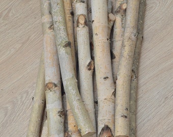 10 wood stick, birch branches, Birch Logs, birch sticks, White Birch branches, decorative birch wood, birch logs, craft wood, eco wood