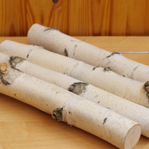 4 wood stick, birch branches, Birch Logs, birch sticks, White Birch branches, decorative birch wood, birch logs, craft wood, eco wood