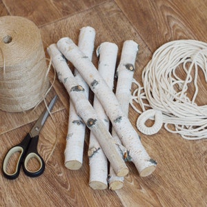 5 wood stick, birch branches, Birch Logs, birch sticks, White Birch branches, decorative birch wood, birch logs, craft wood, eco wood