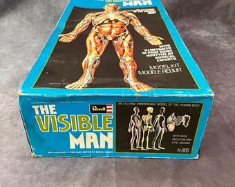 The Visible Man Vintage Anatomy Human Body Model - Etsy