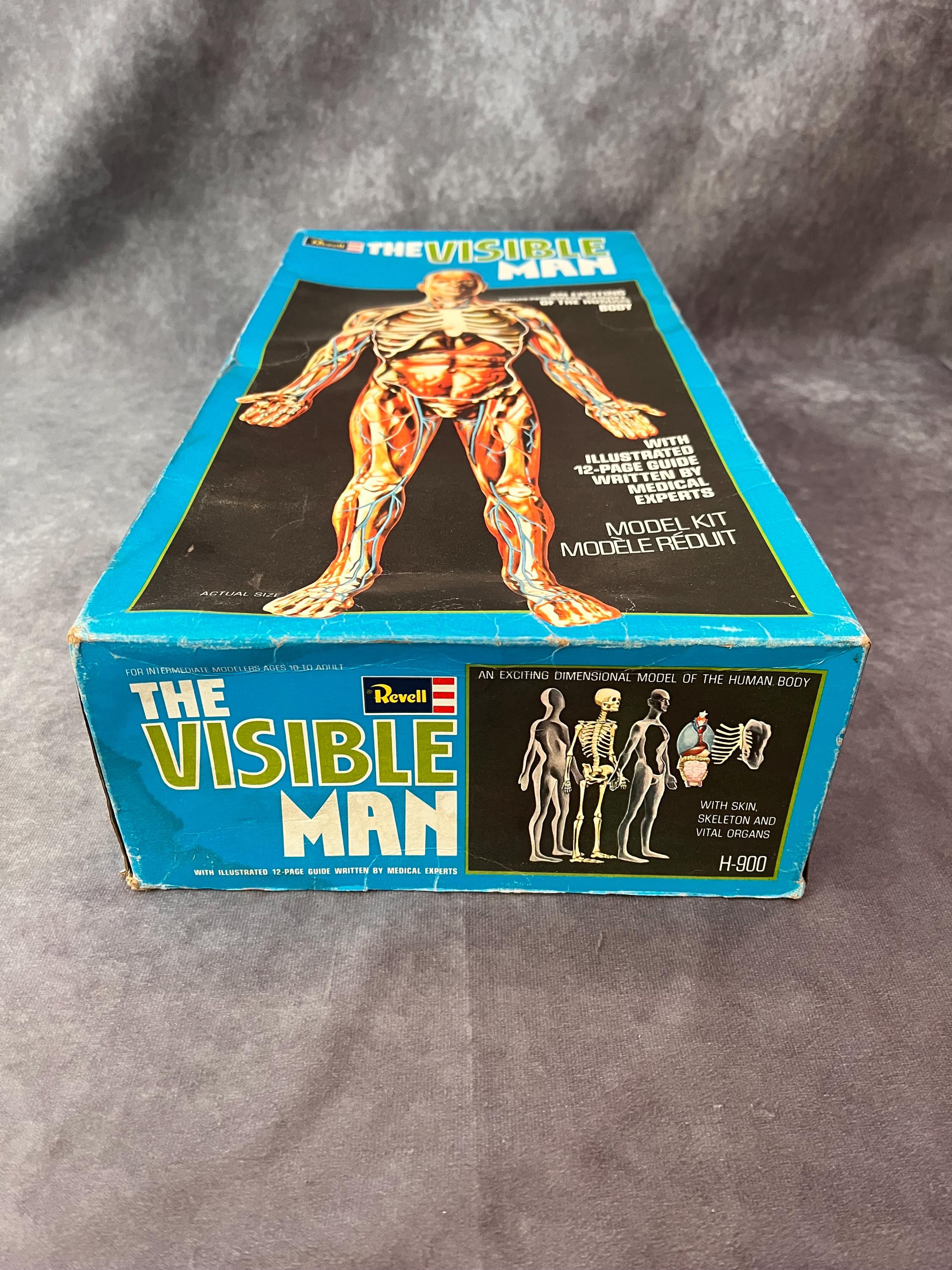 The Visible Man Vintage Anatomy Human Body Model - Etsy