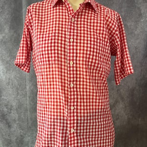 Può includere: Una camicia a maniche corte con bottoni a quadri rossi e bianchi.