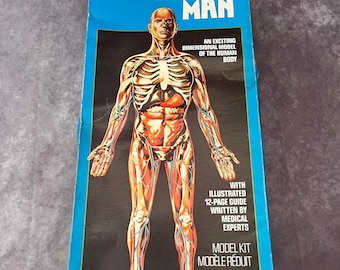 May include: A vintage model kit box for "The Visible Man." The box features a detailed illustration of a human body with visible skeletal and muscular systems. Text includes "An Exciting Dimensional Model of the Human Body."