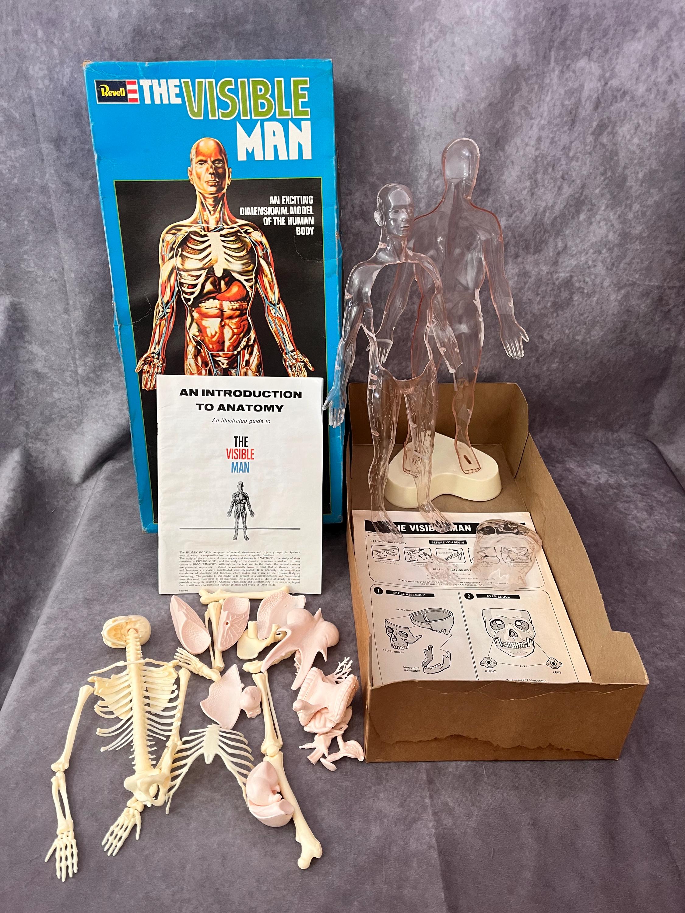The Visible Man Vintage Anatomy Human Body Model - Etsy