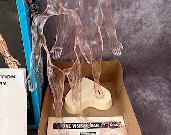 The Visible Man Vintage Anatomy Human Body Model - Etsy