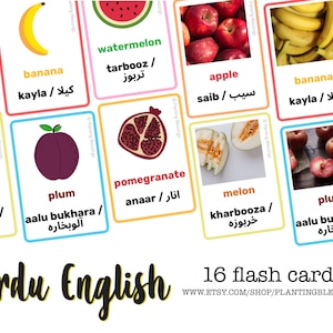 May include: 16 colorful flash cards with illustrations of different fruits and their names in English and Urdu. The fruits include watermelon, banana, apple, melon, plum, and pomegranate.