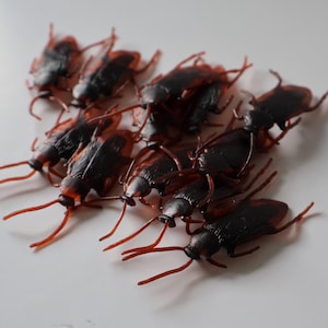 Fake Cockroaches Props for Halloween & Special Effects Makeup or Cosplay