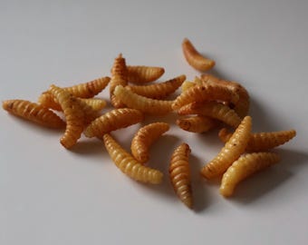 Realistic Fake Maggot Props for Halloween Decor, Special Effects Makeup, and Pranks | Meraki FX Creepy Crawly Accessories