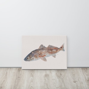 Canvas Golden Hour Redfish