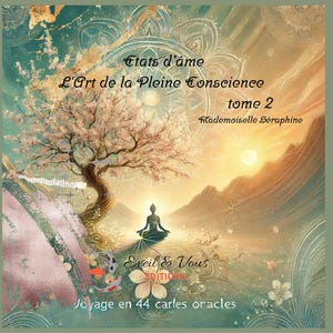 Etats d'âme -tome 2 - cartes pleine conscience