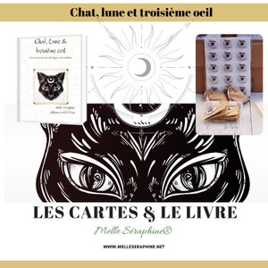 box chat - cartes et livre