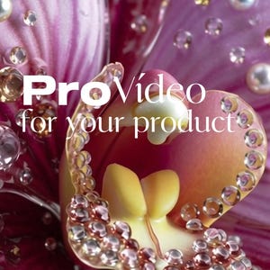Peut inclure: Gros plan sur une fleur d'orchidée vibrante avec des pétales violets profonds et un centre jaune. La fleur est ornée de cristaux et de perles scintillantes. Le texte sur l'image indique "ProVideo for your product."