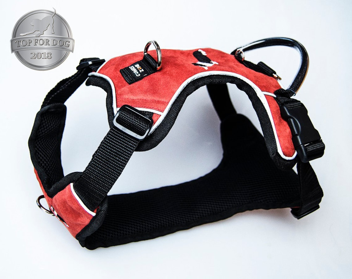 Dog Harness Wide Chest Size M f.ex. With Embroidery Etsy