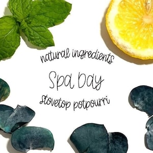 May include: A white background with a lemon slice, green mint leaves, and dried eucalyptus leaves. The text "natural ingredients Spa Day stovetop potpourri" is written in black cursive.
