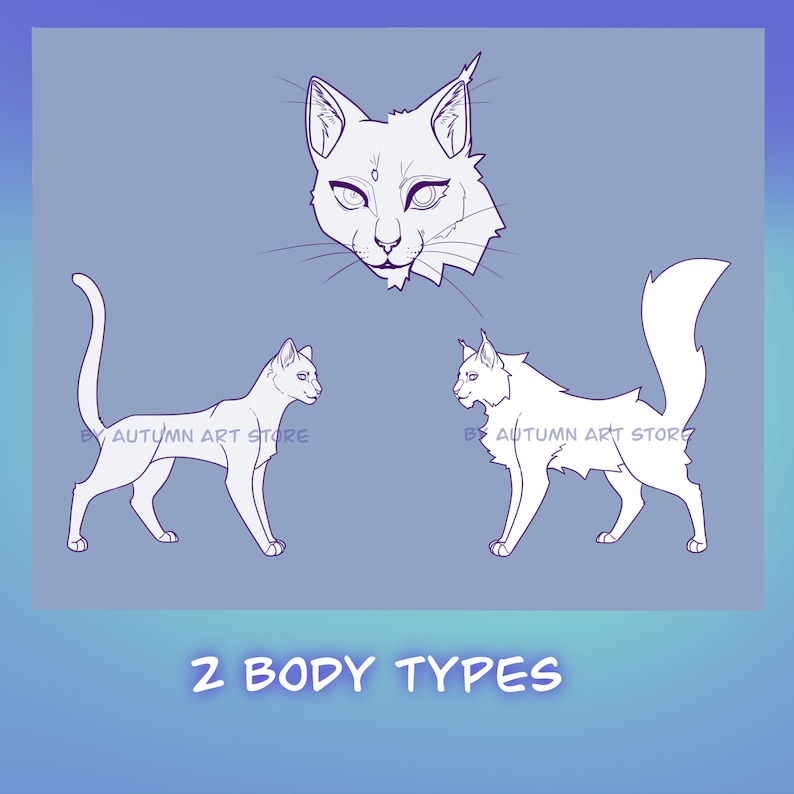 Cat Reference Sheet Base - DIY Customizable Art / Coloring Sheet - Etsy