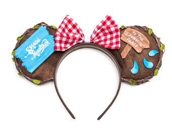 Splash Mountain Inspired Mouse Ears - Hand Painted