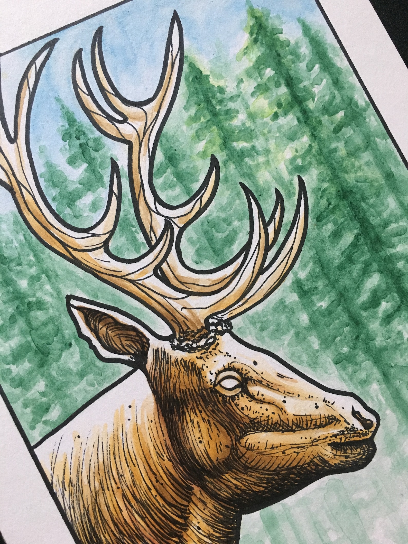 Free Printable Watercolor Stag