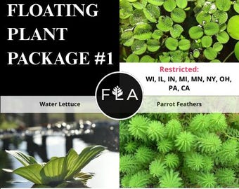 3 Floating Plants-Pack of 3 Species -Easy Live Aquarium Pond Aquatic Plant