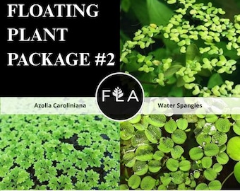 BUY 2 GET 1 FREE Duckweed, Azolla, Spangles - 3 Plants Pack - Easy Live Aquarium Pond Aquatic Plant