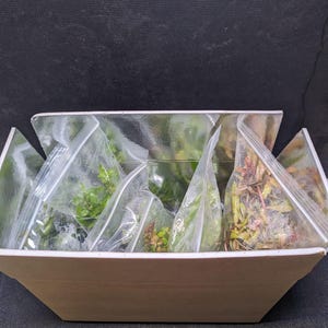 May include: A cardboard box filled with multiple clear plastic bags containing various types of green and red aquatic plants.