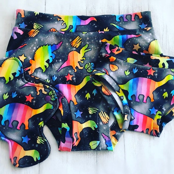 Rainbow Dinosaur, Ladies Custom Knickers, Undies, Scrundies, Pants, Briefs, perfect for Cloth Pads, CSP, Underwear, Boyshorts, Gift